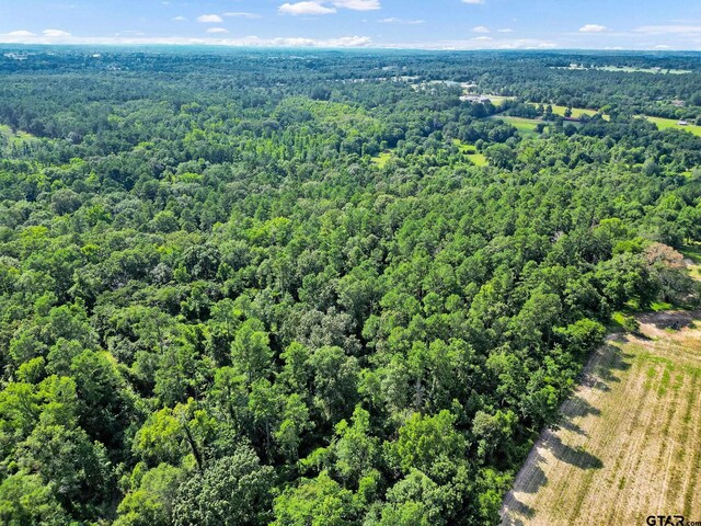 10114 C R 272, Tyler, TX 75707 - photo 13