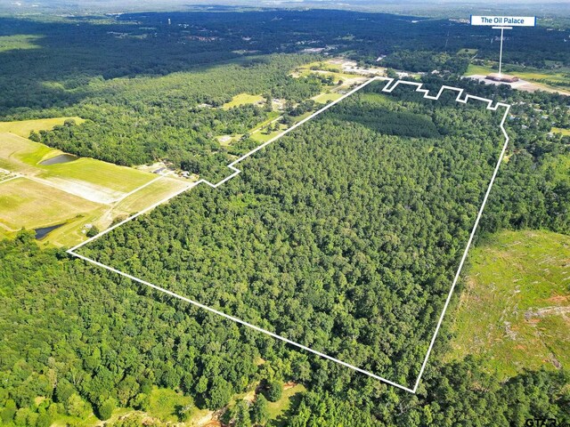 10114 C R 272, Tyler, TX 75707 - photo 3