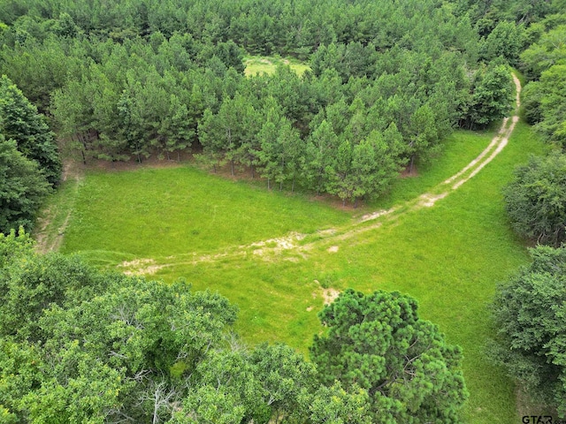 10114 C R 272, Tyler, TX 75707 - photo 30