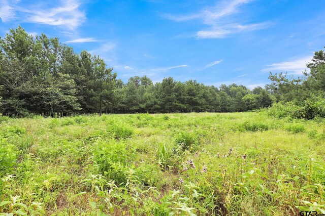 10114 C R 272, Tyler, TX 75707 - photo 29
