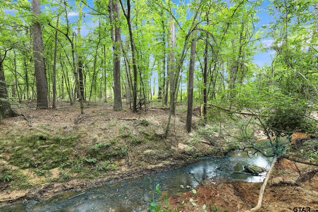 10114 C R 272, Tyler, TX 75707 - photo 22