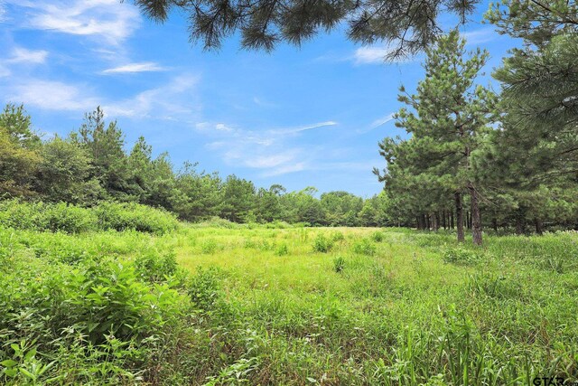 10114 C R 272, Tyler, TX 75707 - photo 15