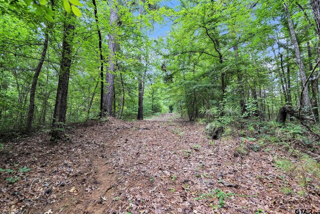10114 C R 272, Tyler, TX 75707 - photo 28