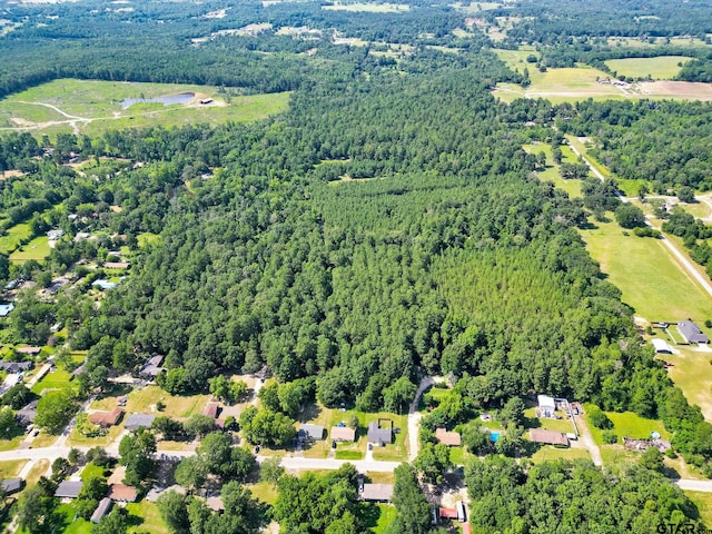 10114 C R 272, Tyler, TX 75707 - photo 6