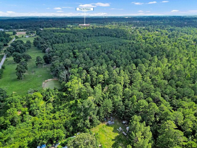 10114 C R 272, Tyler, TX 75707 - photo 36