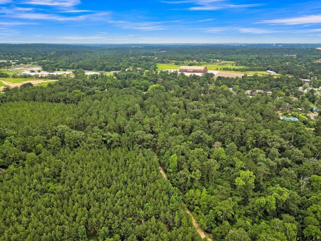10114 C R 272, Tyler, TX 75707 - photo 33