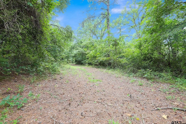 10114 C R 272, Tyler, TX 75707 - photo 20