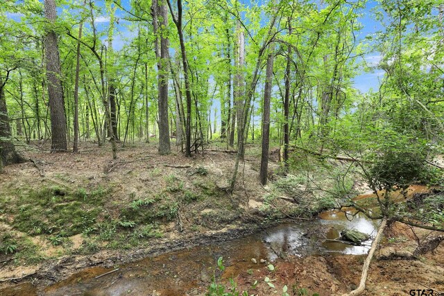 10114 C R 272, Tyler, TX 75707 - photo 24