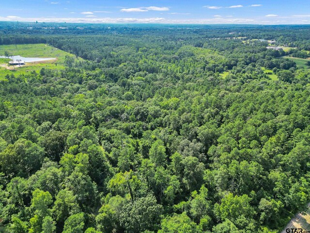 10114 C R 272, Tyler, TX 75707 - photo 12