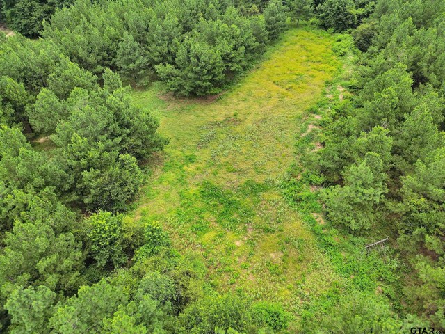 10114 C R 272, Tyler, TX 75707 - photo 31