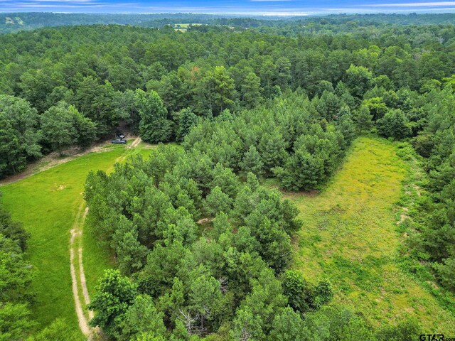 10114 C R 272, Tyler, TX 75707 - photo 35