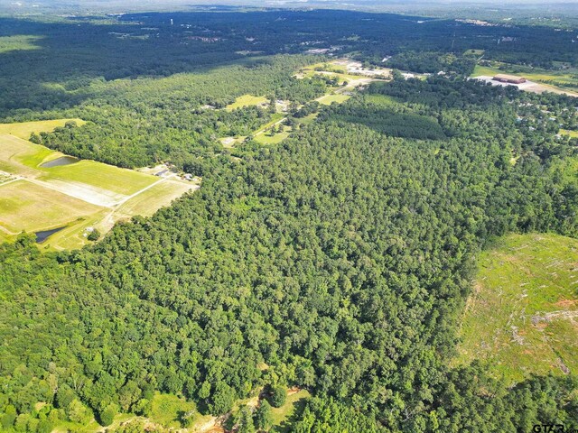 10114 C R 272, Tyler, TX 75707 - photo 4