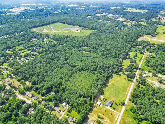10114 C R 272, Tyler, TX 75707 - photo 8