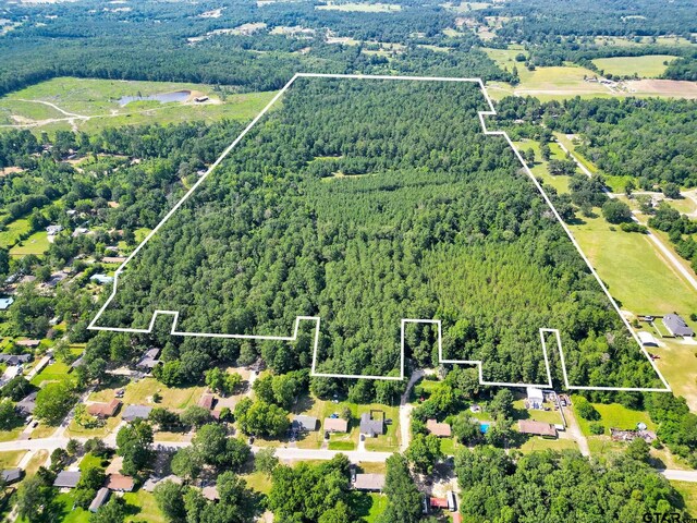 10114 C R 272, Tyler, TX 75707 - photo 5