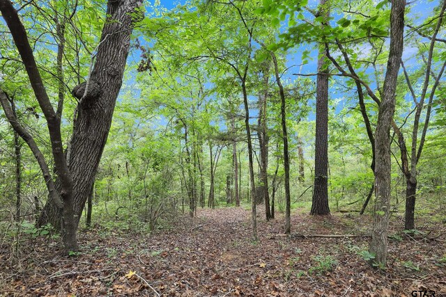 10114 C R 272, Tyler, TX 75707 - photo 21