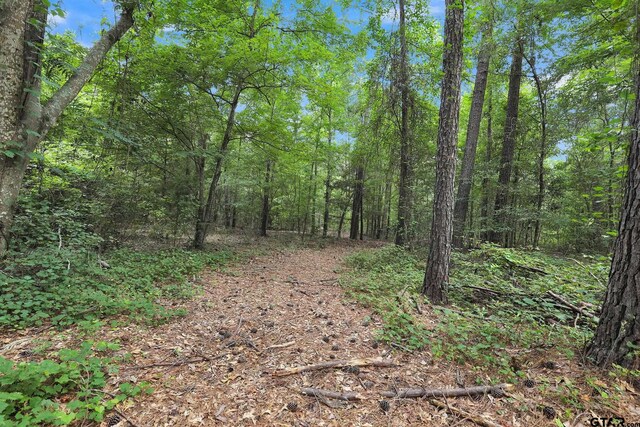 10114 C R 272, Tyler, TX 75707 - photo 18