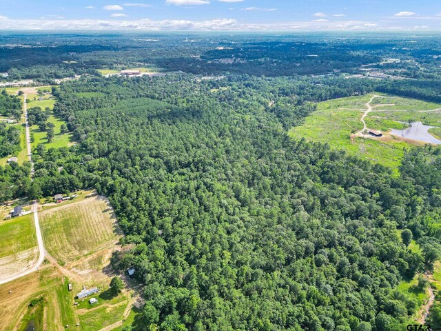 10114 C R 272, Tyler, TX 75707 - photo 11