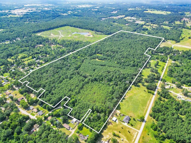 10114 C R 272, Tyler, TX 75707 - photo 7