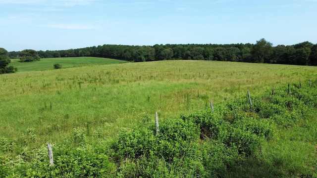 TBD Cr 4610, Troup, TX 75789 - photo 16