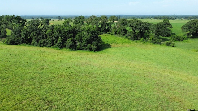 TBD Cr 4610, Troup, TX 75789 - photo 9