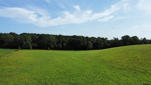 TBD Cr 4610, Troup, TX 75789 - photo 6