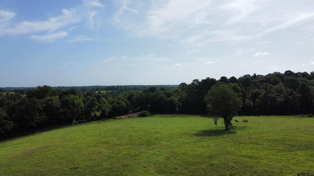 TBD Cr 4610, Troup, TX 75789 - photo 7