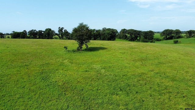 TBD Cr 4610, Troup, TX 75789 - photo 15