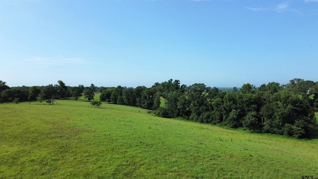 TBD Cr 4610, Troup, TX 75789 - photo 8