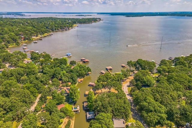 521 Hilltop Dr, Tool, TX 75143 - bird's eye view of a nearby body of water