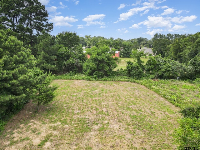 109 Carroll Dr, Athens, TX 75752 - photo 46