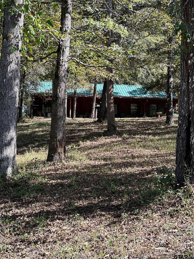 11420 C R 420, Tyler, TX 75704 - view of yard