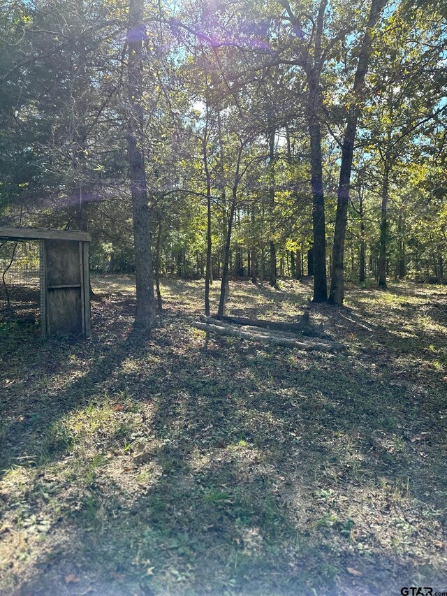 11420 C R 420, Tyler, TX 75704 - view of yard