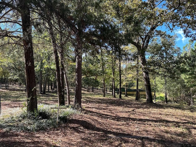 view of landscape