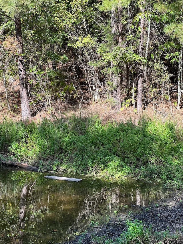 11420 C R 420, Tyler, TX 75704 - view of local wilderness