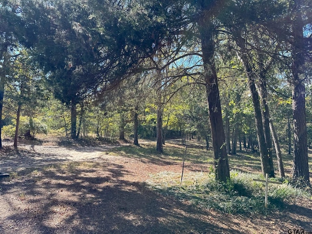 view of local wilderness