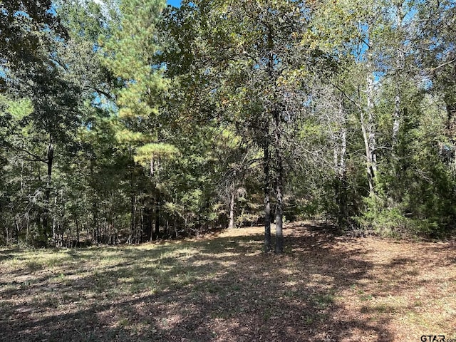 11420 C R 420, Tyler, TX 75704 - view of tree filled area