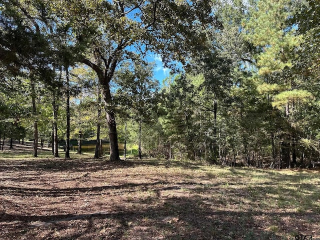 11420 C R 420, Tyler, TX 75704 - view of nature
