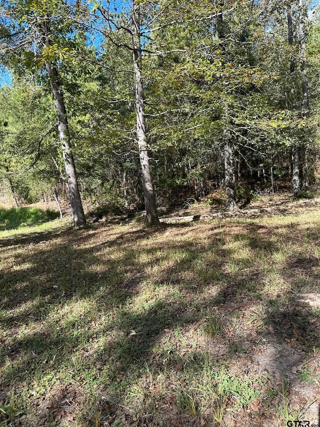 11420 C R 420, Tyler, TX 75704 - view of wooded area