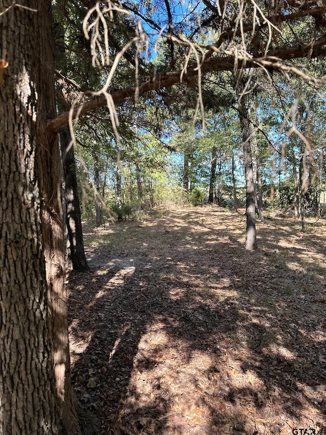 11420 C R 420, Tyler, TX 75704 - view of nature
