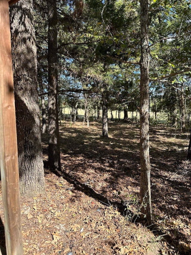 11420 C R 420, Tyler, TX 75704 - view of nature