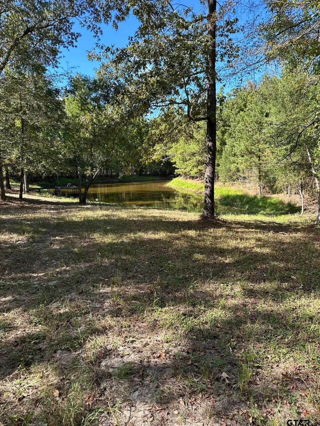 11420 C R 420, Tyler, TX 75704 - view of yard featuring a water view and a wooded view