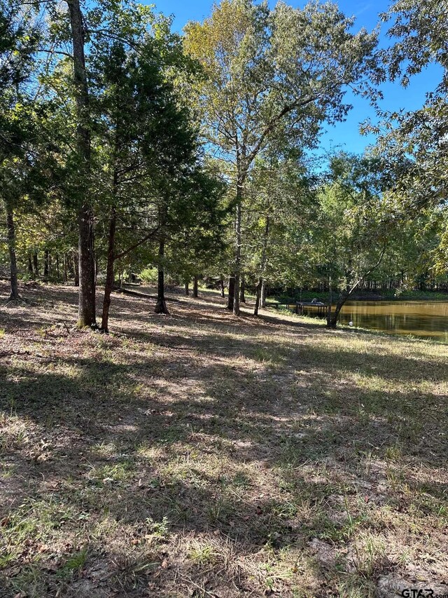 11420 C R 420, Tyler, TX 75704 - view of yard featuring a water view