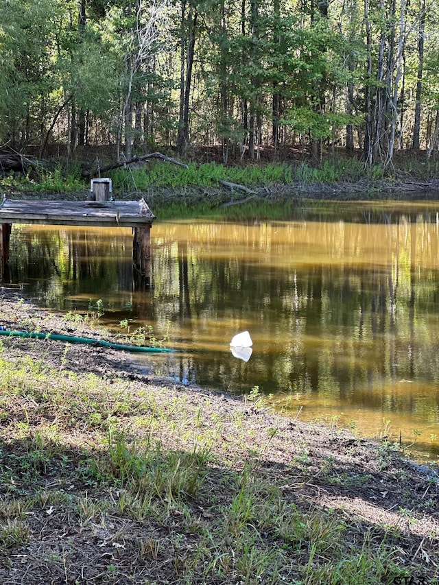 11420 C R 420, Tyler, TX 75704 - water view