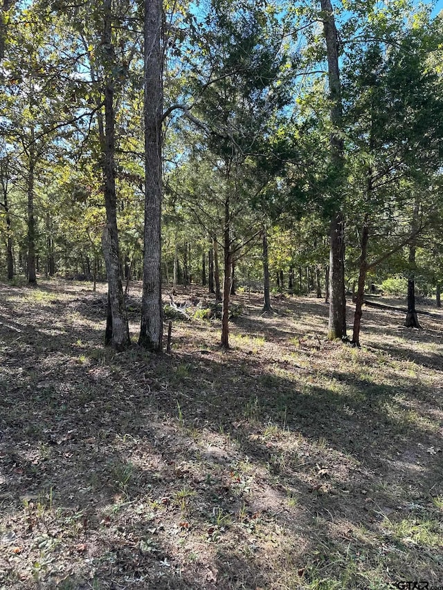 11420 C R 420, Tyler, TX 75704 - view of nature