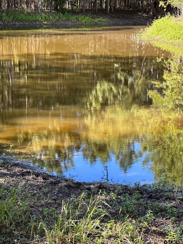 11420 C R 420, Tyler, TX 75704 - water view