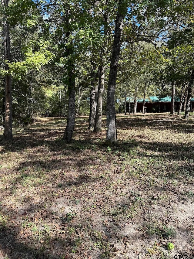 11420 C R 420, Tyler, TX 75704 - view of yard