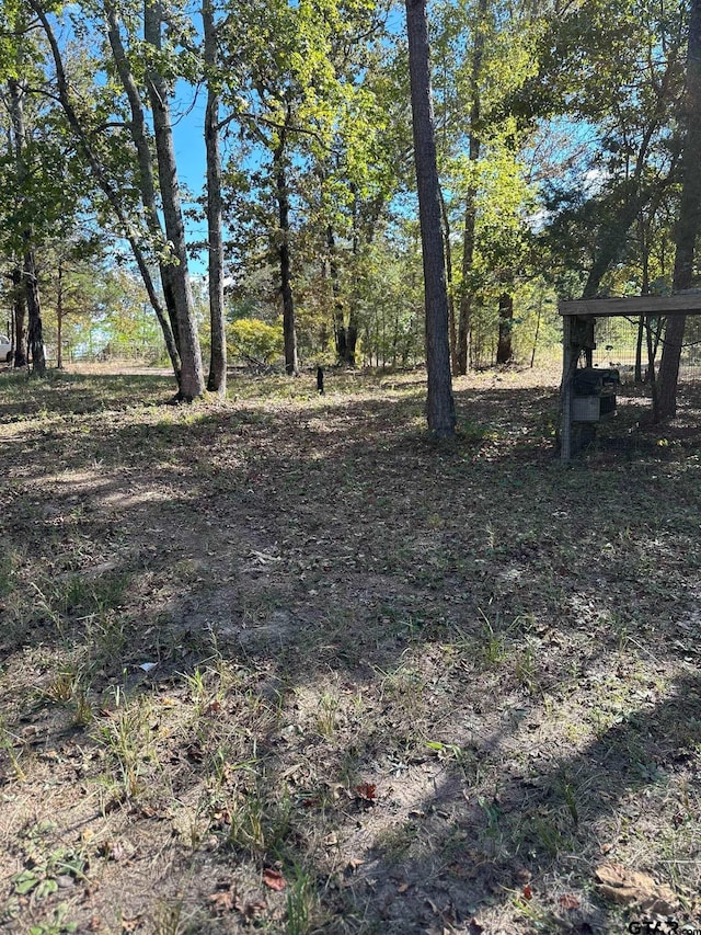 11420 C R 420, Tyler, TX 75704 - view of yard