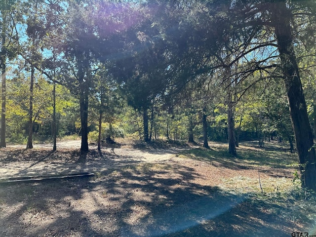 11420 C R 420, Tyler, TX 75704 - view of street with a forest view