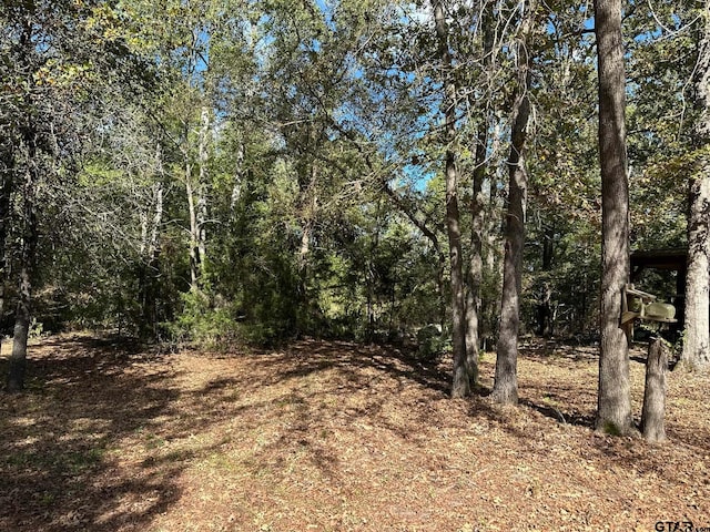 11420 C R 420, Tyler, TX 75704 - view of local wilderness