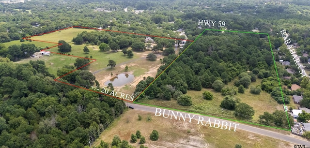 1101 Bunny Rabbit Rd, Athens, TX 75751 - photo 48